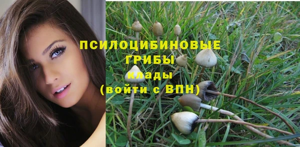 каннабис Алексеевка