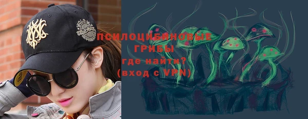 a pvp Алзамай