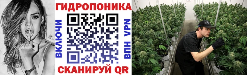 omg tor  Топки  Бошки марихуана SATIVA & INDICA 